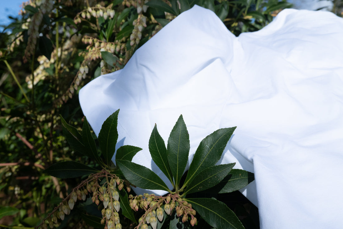 How to Start a Clothing Brand — By Starting with What You Already Have